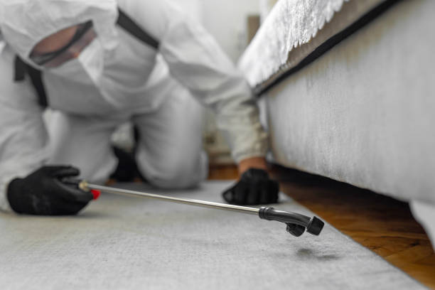 Professional Wasp Control technician working in West Loch Estate, HI