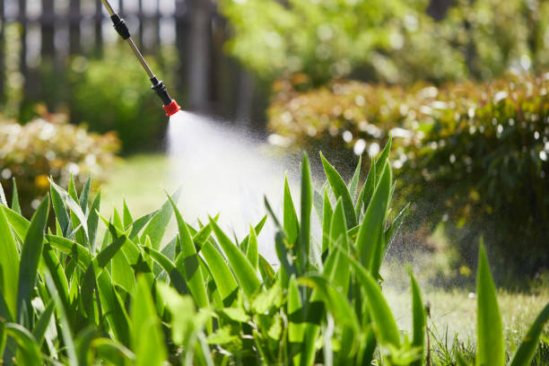 24/7 Emergency Mosquito Control experts in West Loch Estate, HI