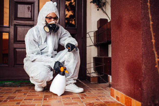 Reliable Mosquito Control contractor in West Loch Estate, HI by Nex Pest Control