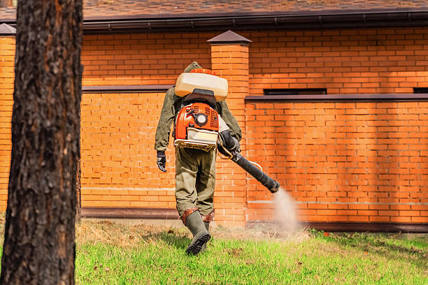 Trusted Emergency Pest Control service in West Loch Estate, HI - Nex Pest Control